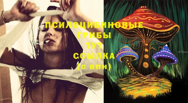 МДМА Елизово